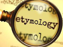 Magnifying glass enlarging the word "etymology."