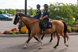 Sheriff’s Mounted Patrol Follows Story Time
