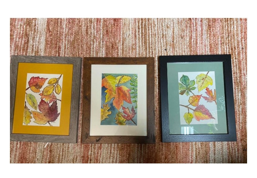 3 framed watercolor paintings of leaves of many autumn colors.