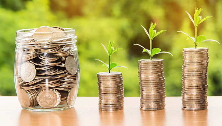 1 glass jar filled with coins next to 3 stacks of coins with green plants sprouting out of them.