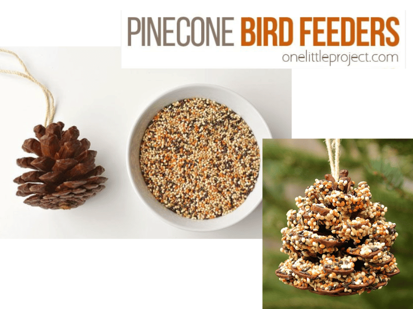 A bowl of bird seed and a plain pinecone next to a seed-covered pinecone,