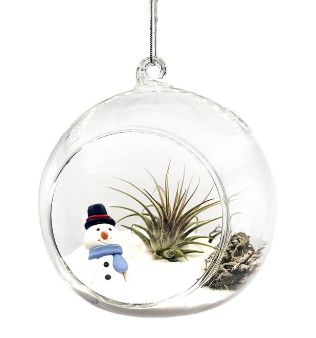 Winter-Themed Air Plant Terrarium Workshop with Sigriet