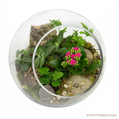 Floral Terrarium Workshop