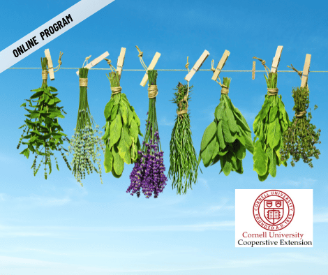 ONLINE – Growing Herbs, with Cornell Cooperative Extension