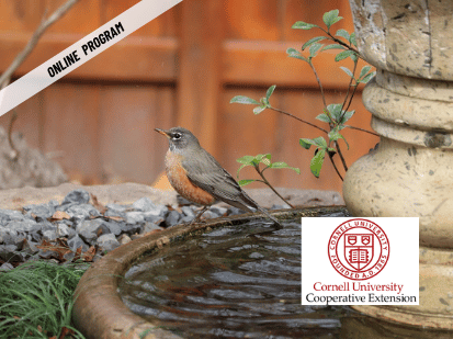 ONLINE – Creating a Bird Sanctuary with Cornell Cooperative Extension