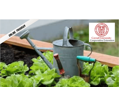 ONLINE – Small Space Gardening with Cornell Co-Op