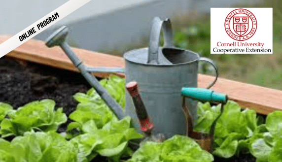 ONLINE – Small Space Gardening with Cornell Co-Op