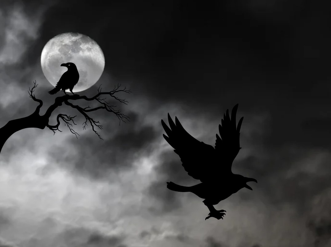 “New York Spirits” – A Ghost-Themed Show with the Amazing Cris Johnson, Magician