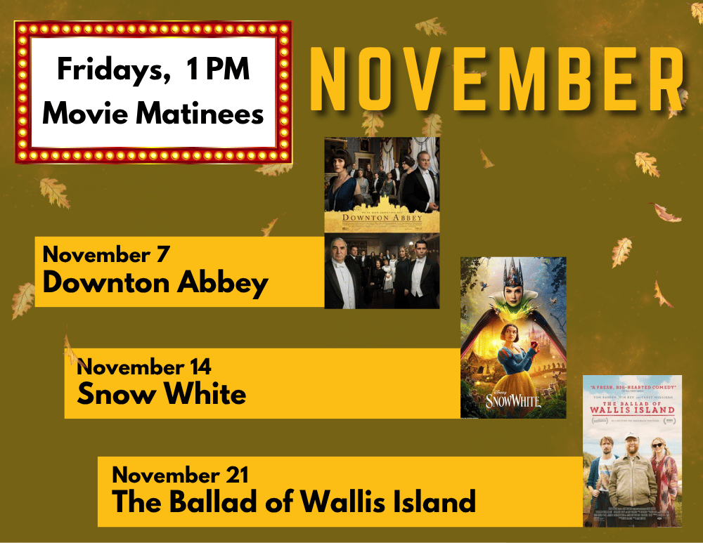 Friday Movie Matinees