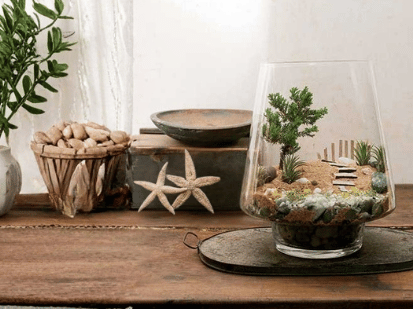 Beach Terrarium in a Bottle