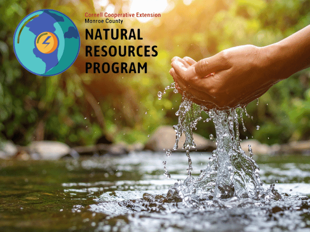 Plastics and Microplastics Awareness & Action