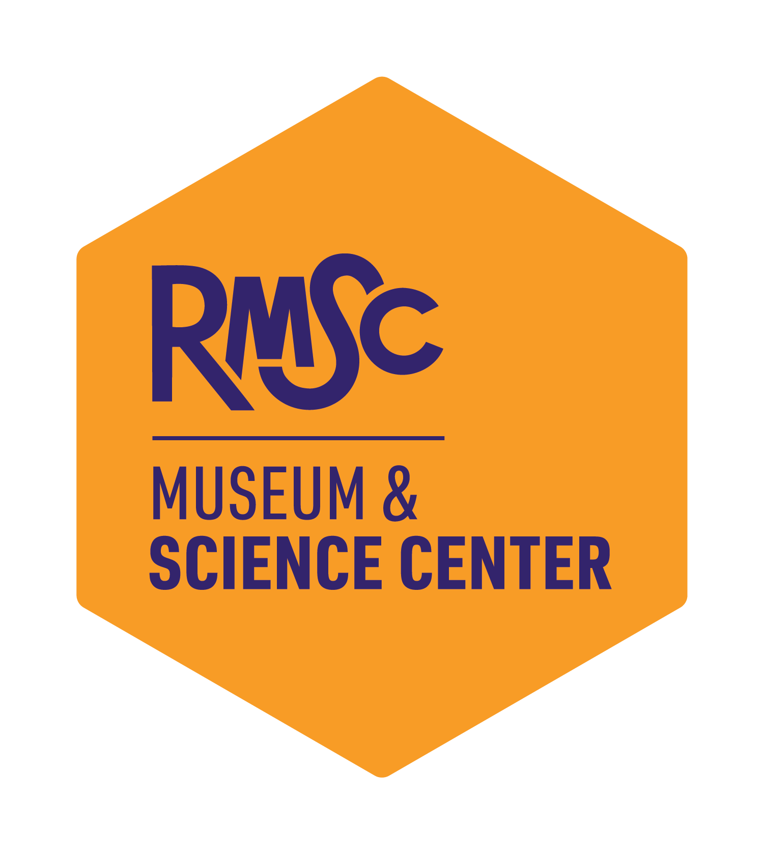 Logo for Rochester Museum and Science Center.