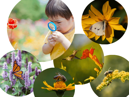Flower Talk with Cornell Cooperative Extension