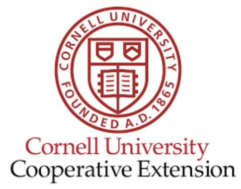 ONLINE – Small Space Gardens with Cornell Cooperative Extension Master Gardeners