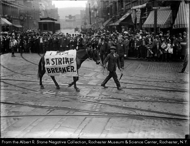 Historic photo of man walking a horse in a Rochester NY Labor Day parade wearing a saddle sign that reads "Strike Breaker" (photo date unknown.)