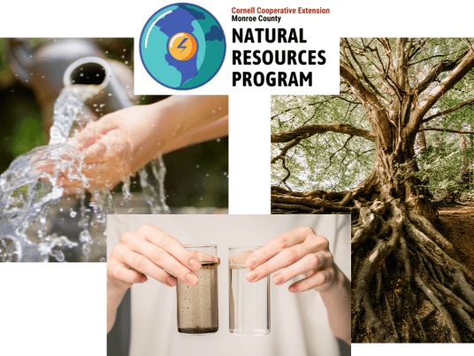Learn About Natural Resources with Cornell Cooperative Extension
