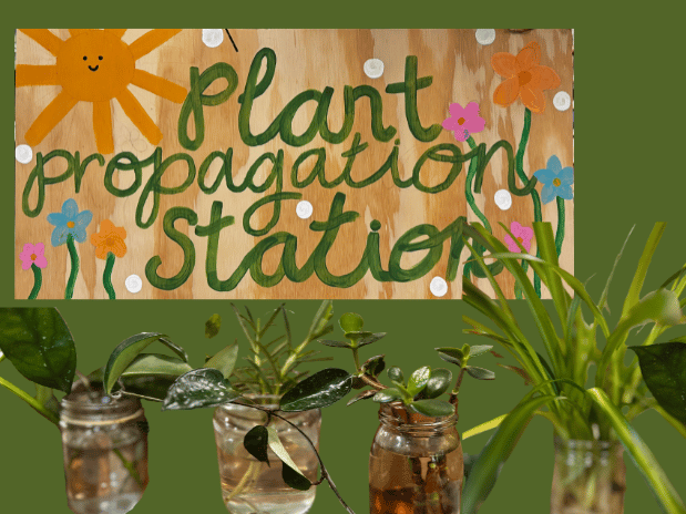 Plant Propagation Station